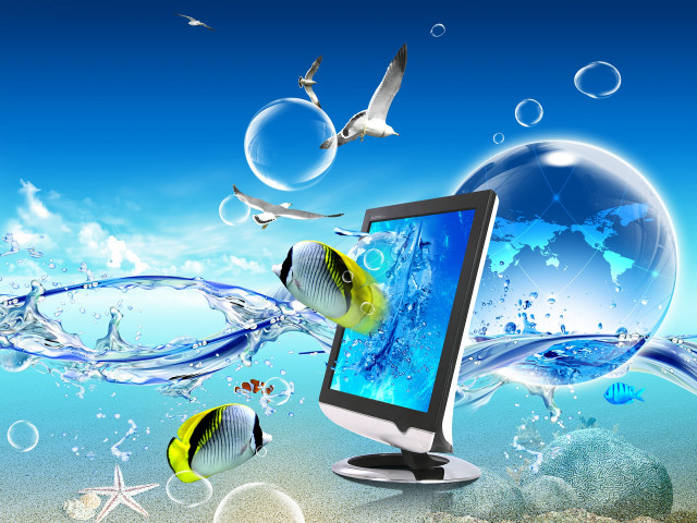 Computer monitor desk fish bubbles free wallpaper - medium preview image