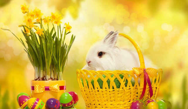 White rabbit basket eggs flowers free wallpaper - medium preview image