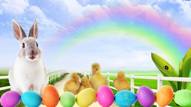Rabbit chicks fenced area rainbow free wallpaper - medium preview image