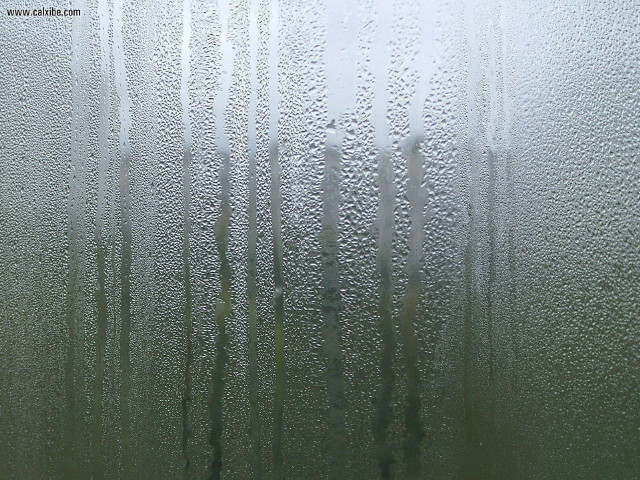 Window rain drops green grass free wallpaper - medium preview image