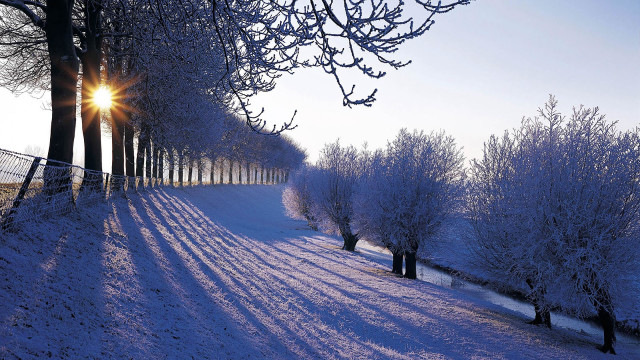 Snowy path trees fence sunset free wallpaper - medium preview image