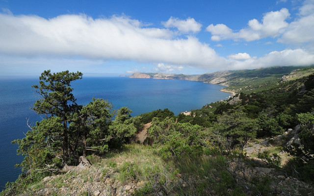Hilltop water view trees cloudy free wallpaper - medium preview image