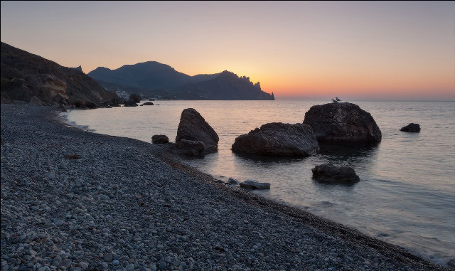 Beach rocks bird sunset mountains free wallpaper - medium preview image