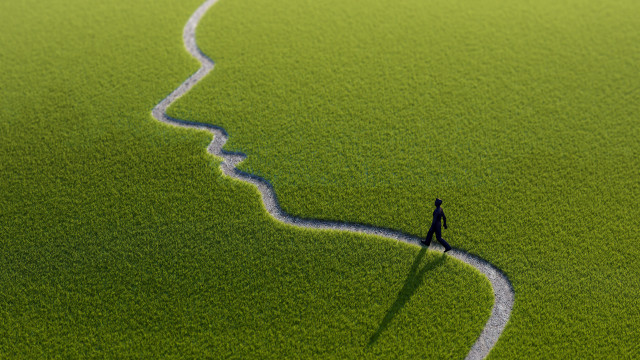 Man walking green field snake free wallpaper - medium preview image
