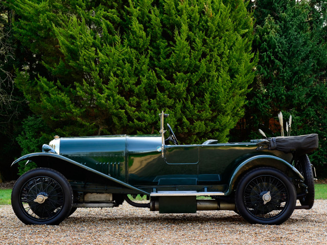 Old green car parked tree free wallpaper - medium preview image