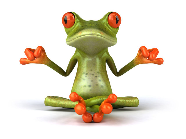 Frog red eyes sitting white free wallpaper - medium preview image