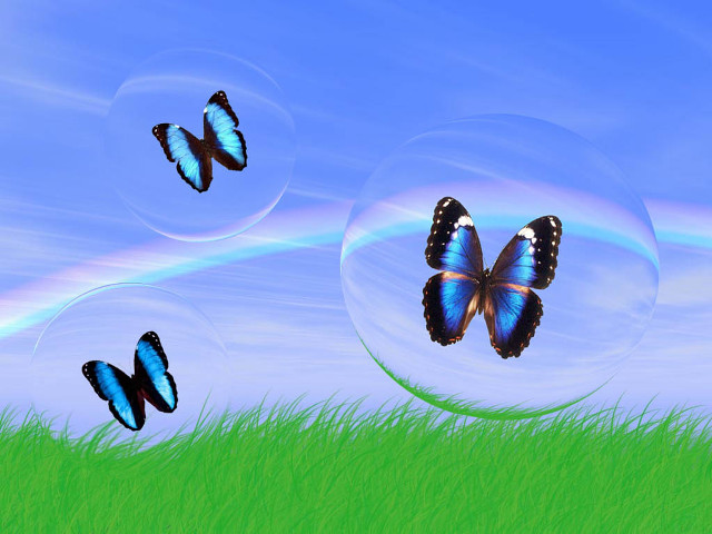 Butterflies green field rainbow bubbles free wallpaper - medium preview image