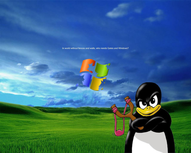 Penguin kite grass sky blue free wallpaper - medium preview image