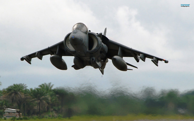 Jet flying trees background sky free wallpaper - medium preview image