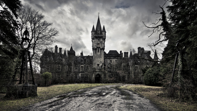 Castle tower clock forest dirt free wallpaper - medium preview image