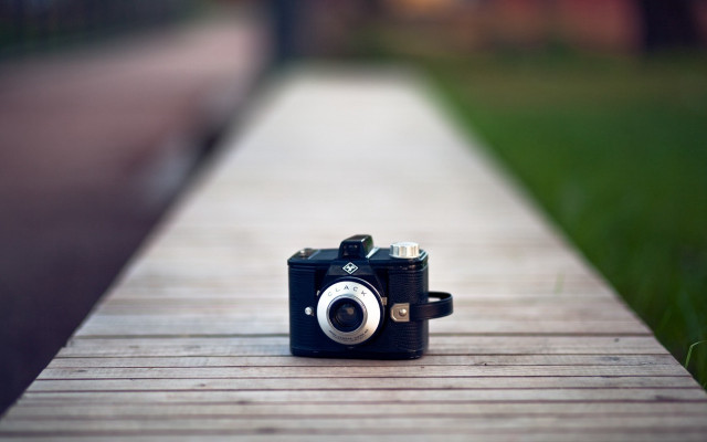 Camera wooden walkway grass park free wallpaper - medium preview image