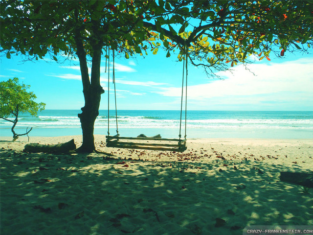Swing tree beach ocean view free wallpaper - medium preview image