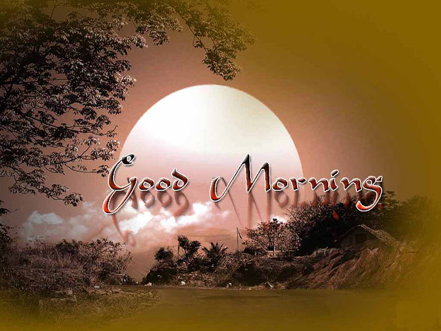 Sunset good morning tree yellow free wallpaper - medium preview image