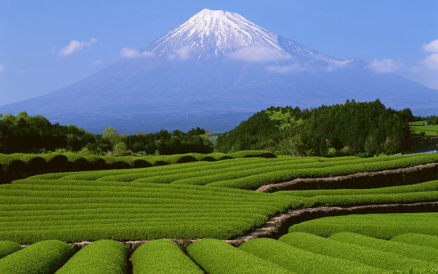 Large green maze mountain snow free wallpaper - medium preview image