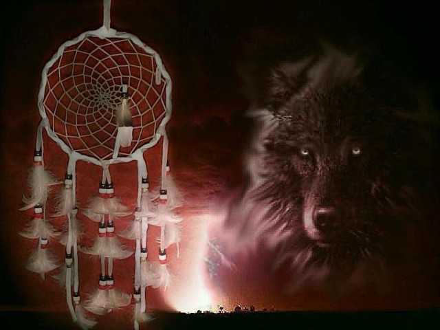 Wolf dreamcatcher red background allen free wallpaper - medium preview image