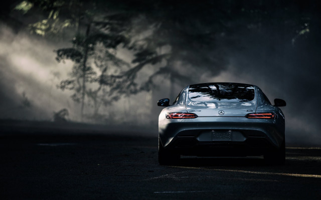 Car driving fog trees person #2 free wallpaper - medium preview image
