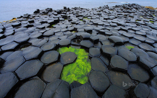 Large rock formation green algae free wallpaper - medium preview image