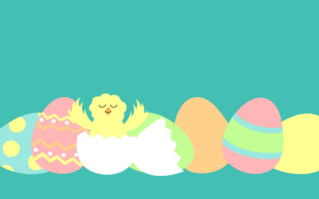 Eggs chick green background blue free wallpaper - medium preview image