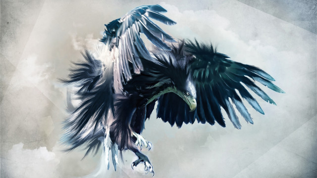 Bird large wing flying air free wallpaper - medium preview image