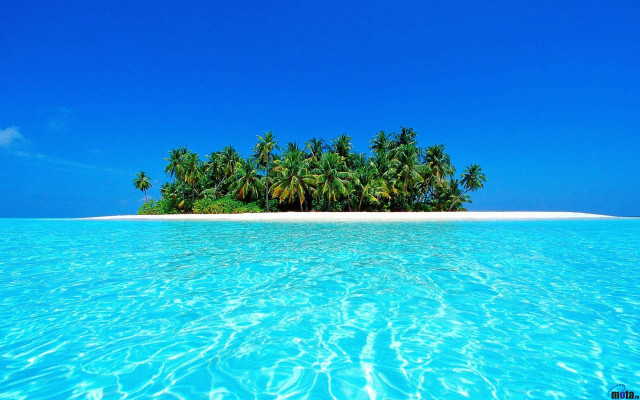 Small island palm trees ocean #16 free wallpaper - medium preview image