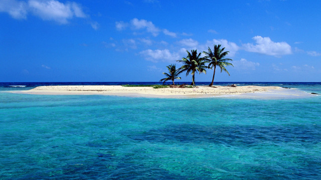 Small island palm tree ocean free wallpaper - medium preview image