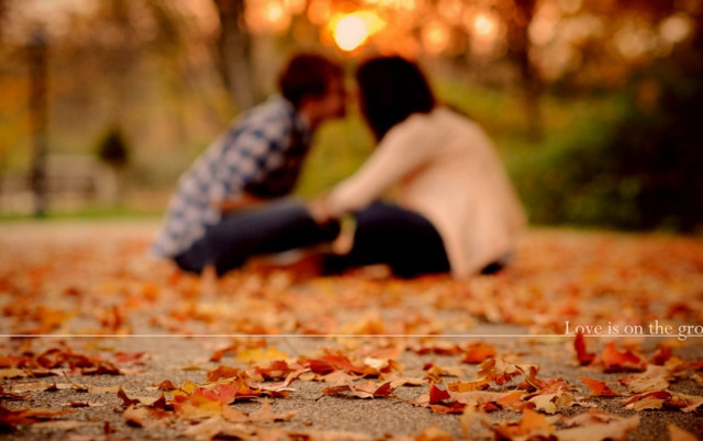 People sitting park leaves trees free wallpaper - medium preview image