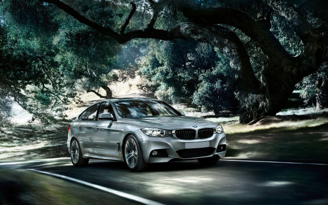 Silver car forest road sunny #2 free wallpaper - medium preview image