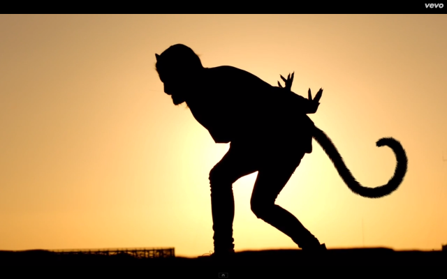 Person monkey cat sunset walking free wallpaper - medium preview image