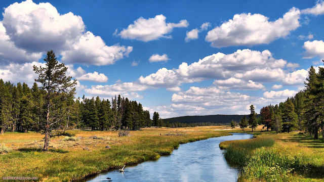 River lush forest blue sky free wallpaper - medium preview image