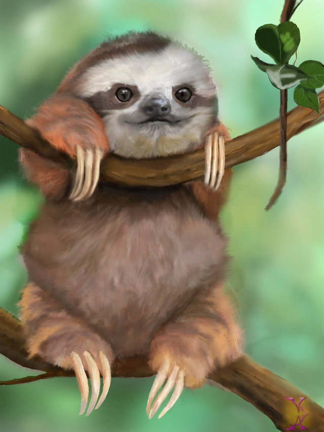 Sloth sitting branch leaf mouth free wallpaper - medium preview image
