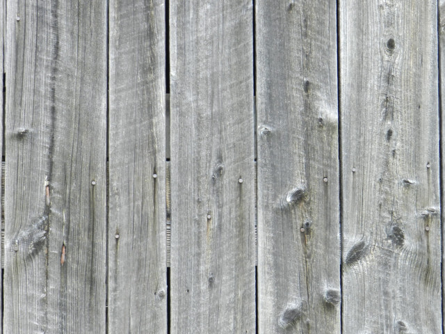 Wooden fence bird beach monochrome free wallpaper - medium preview image
