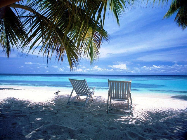 Two chairs beach palm tree #5 free wallpaper - medium preview image