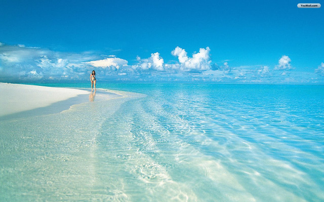 Beach person ocean looking water free wallpaper - medium preview image