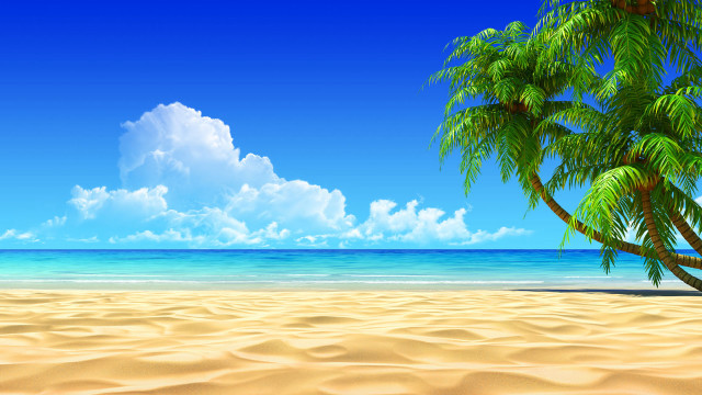 Palm tree sandy beach blue #5 free wallpaper - medium preview image