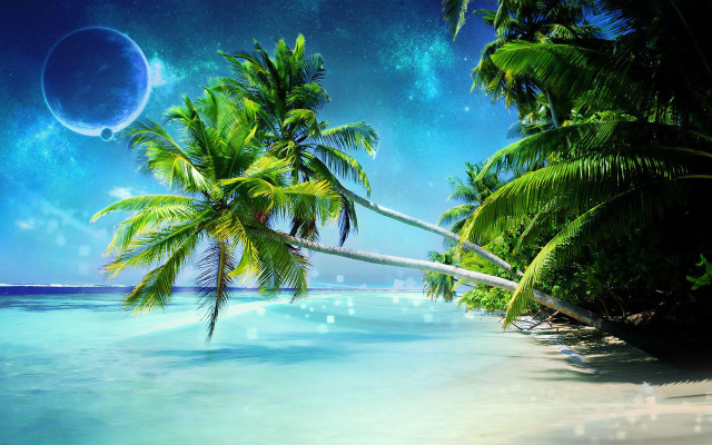 Tropical beach palm trees moon free wallpaper - medium preview image