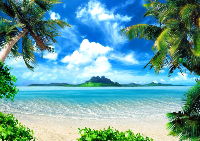 Tropical beach palm mountains blue free wallpaper - medium preview image