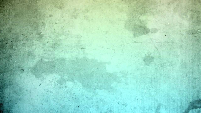 Grungy wall black cat black free wallpaper - medium preview image