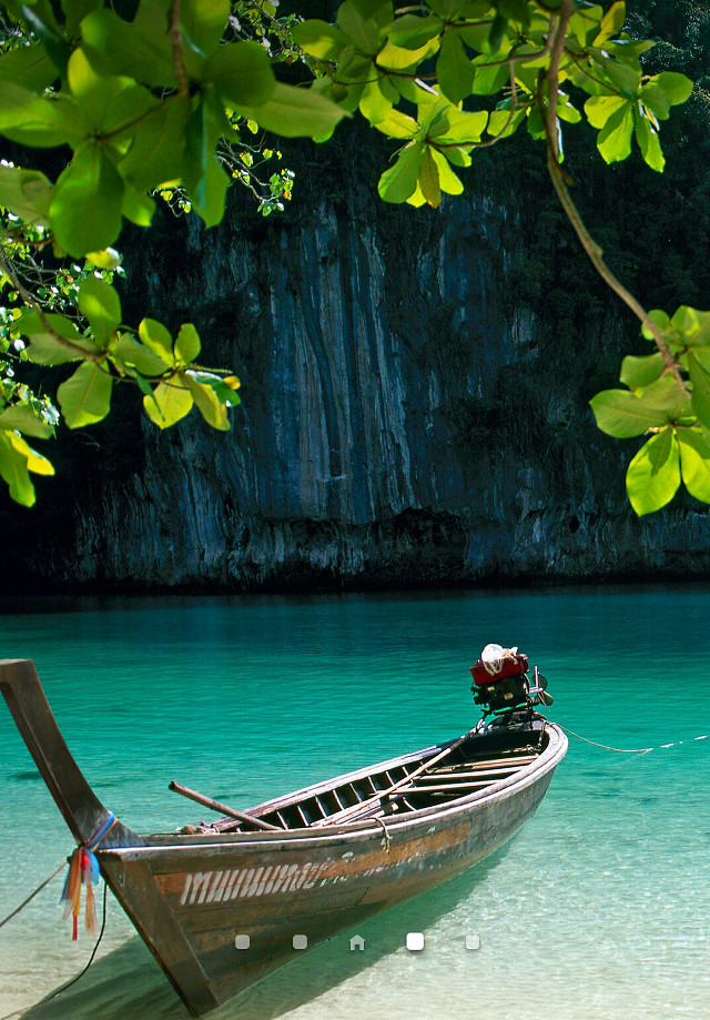 Boat beach water tree branch free wallpaper - medium preview image