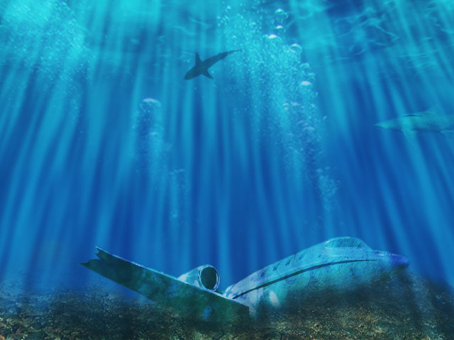 Large turtle shark sunny underwater free wallpaper - medium preview image