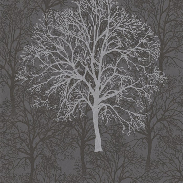 Leafless tree forest gray background free wallpaper - medium preview image