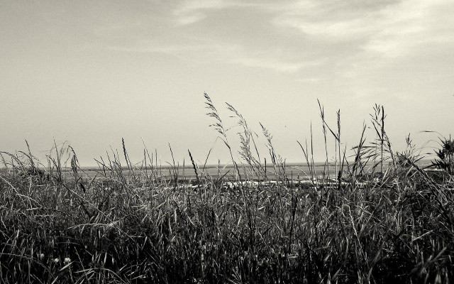 Black white field grass lighthouse free wallpaper - medium preview image