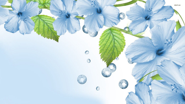 Blue flower water drops floral free wallpaper - medium preview image