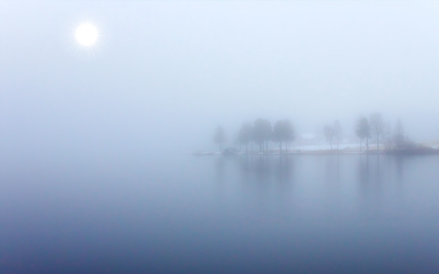 Foggy lake small island trees free wallpaper - medium preview image
