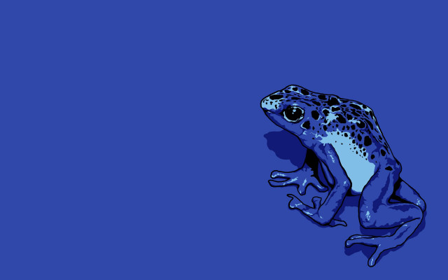 Blue frog blue surface blue free wallpaper - medium preview image