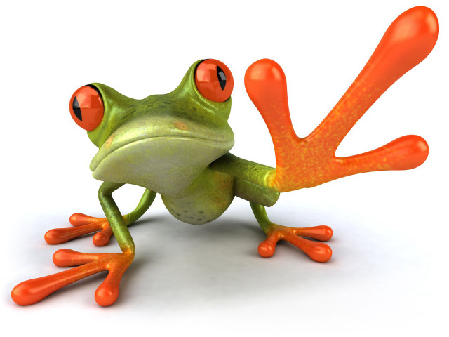 Frog orange eyes red tail free wallpaper - medium preview image