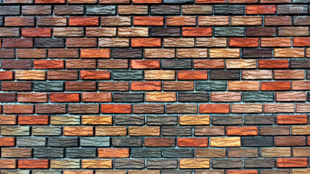 Brick wall colorful cat sitting free wallpaper - medium preview image