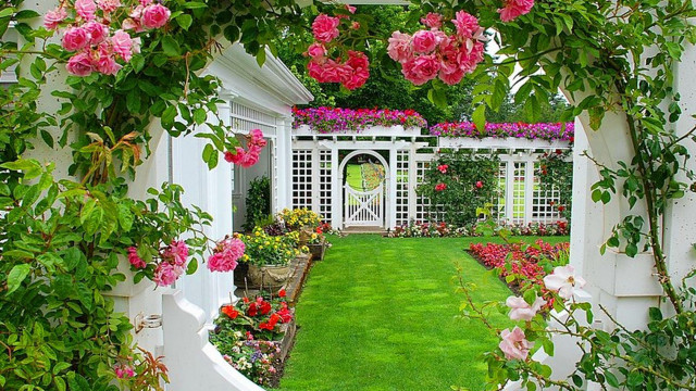 Garden fence roses lawn gate free wallpaper - medium preview image