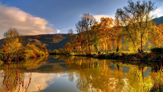 River trees grass clouds autumn free wallpaper - medium preview image