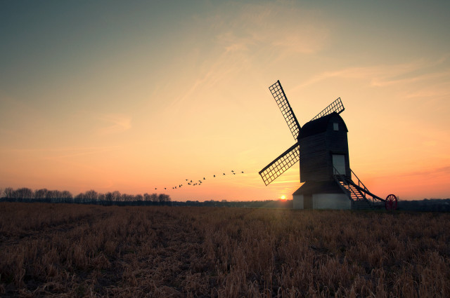 Windmill field birds flying sunset free wallpaper - medium preview image
