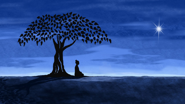 Person sitting tree night sky free wallpaper - medium preview image